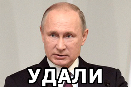 ss_175037.jpg