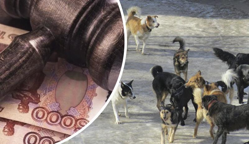Штраф за самовыгул собак в Бурятии могут увеличить до 50 тысяч рублей