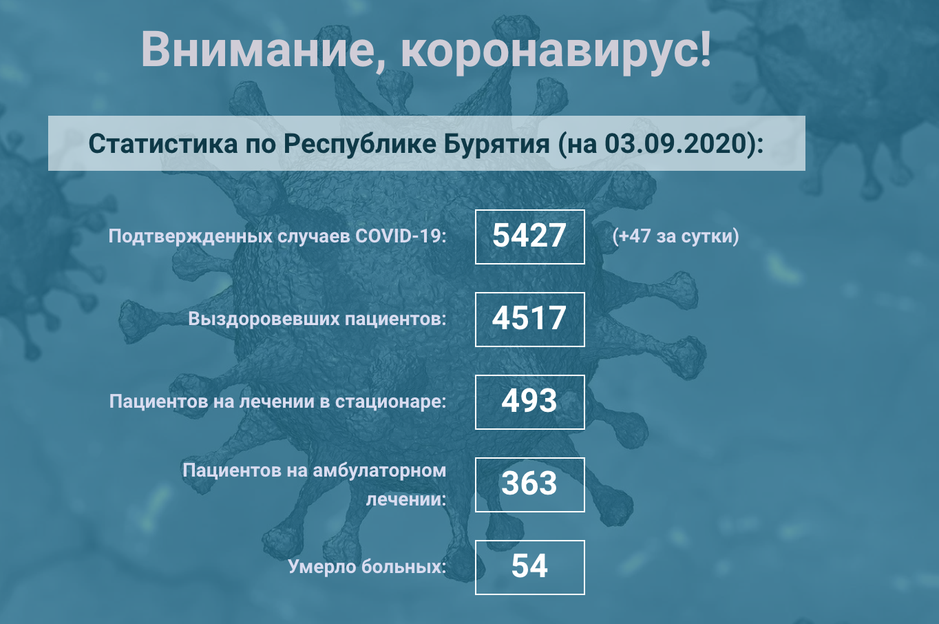 Сколько погибших коронавирусом в россии
